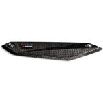 Sconto 19% Paracalore Carbonio Akrapovic bmw F 900 R / ... WRS