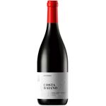 Sconto 15% Villa Raiano 'Costa Baiano' 2019 Callmewine