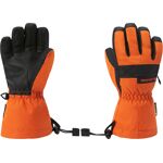 Sconto 20% DAKINE AVENGER GORETEX GLOVE Fresh Farm