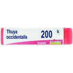 18% zniżki Boiron Thuya Occidentalis 200K Globuli Tube ... Afarma