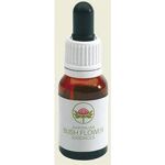 12% Rabatt SUNSHINE WATTLE AUSTR 15ML GTT Pflege und Natur