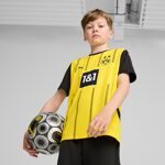 2% de desconto Camisa PUMA Borussia Dortmund 24/25 Home Youth, ... Puma